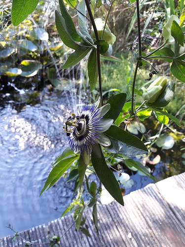 20190723_175555