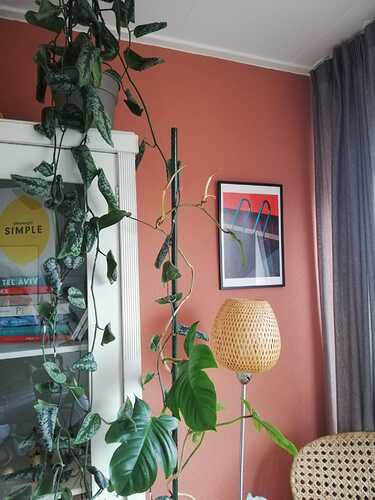 WhatsApp Image 2022-01-04 at 14.33.55