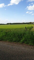 IMG-20210521-WA0016
