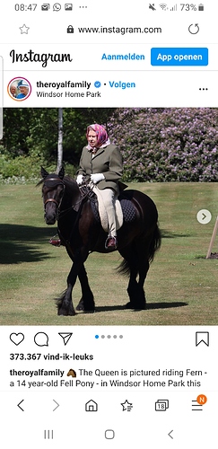 Screenshot_20200613-084758_Samsung Internet