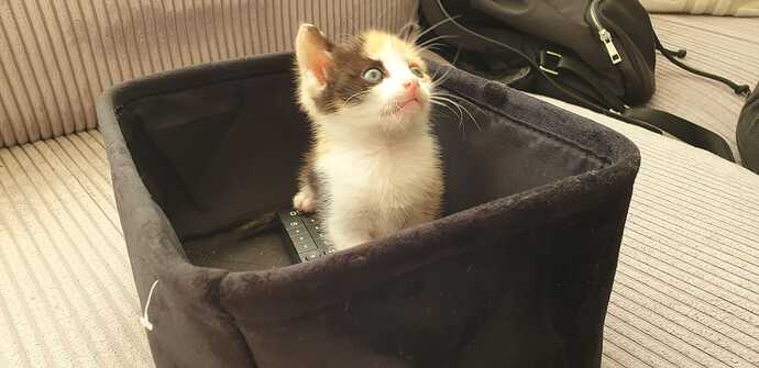 IMG-20210823-WA0000