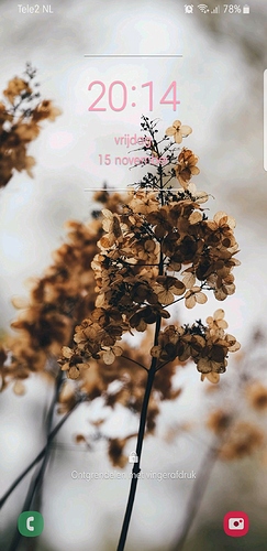 Screenshot_20191115-201435_One%20UI%20Home