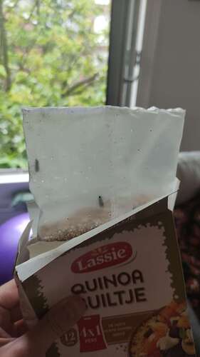 IMG-20210724-WA0008