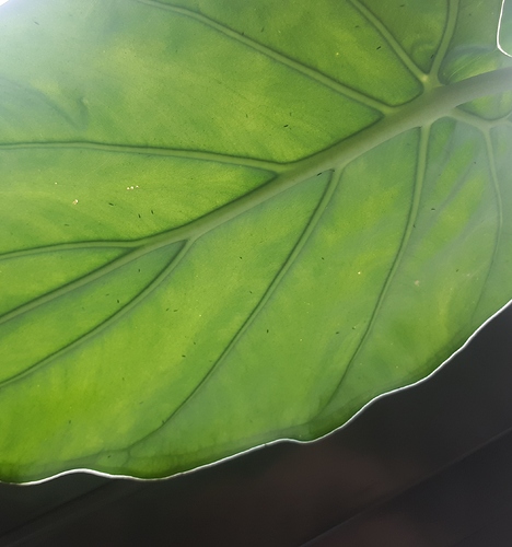 20190903_184215