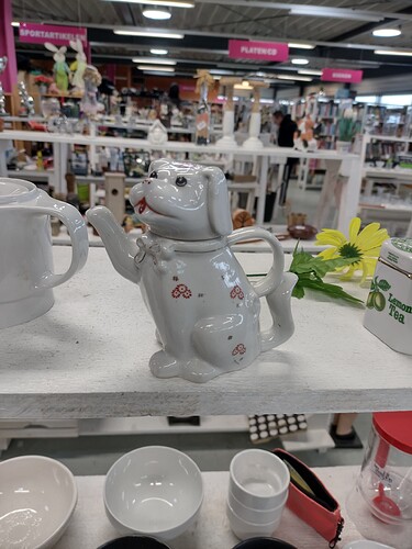 IMG_20220226_164335714_HDR