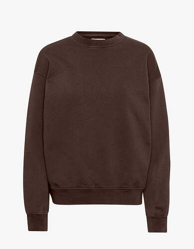 Organic_Oversized_Crew-Test-CS1012-Coffee_Brown_786x.progressive