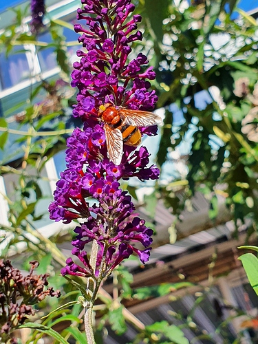 20200804_095826