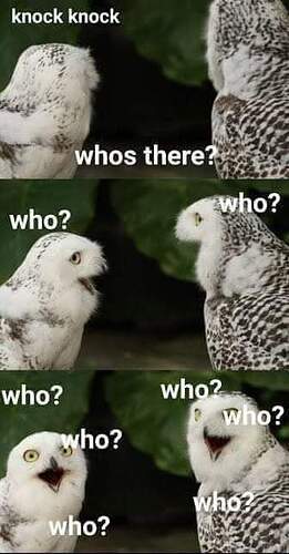 FB_IMG_1632243610434