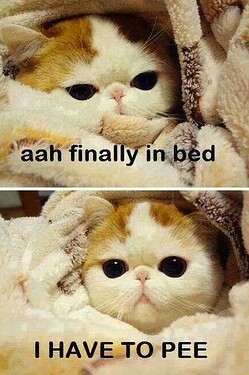 ahh finally in bed. I have to pee