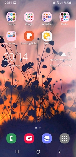 Screenshot_20191115-201447_One%20UI%20Home