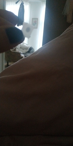 IMG-20200220-WA0005