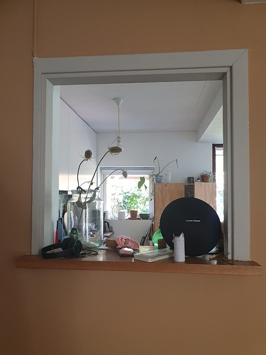 20190812_102938