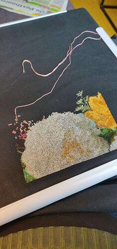 IMG_20210521_104125