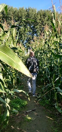 IMG_20200918_103603