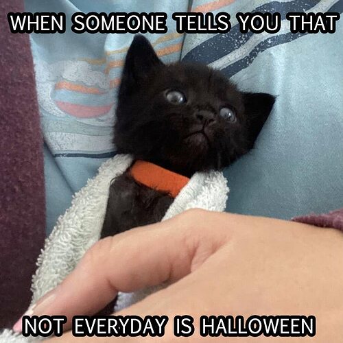 sssss