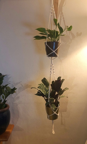 dubbele hanger