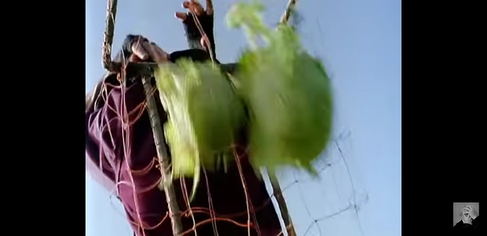 Screenshot_20200630-170158_YouTube