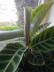 IMG_20200426_160147