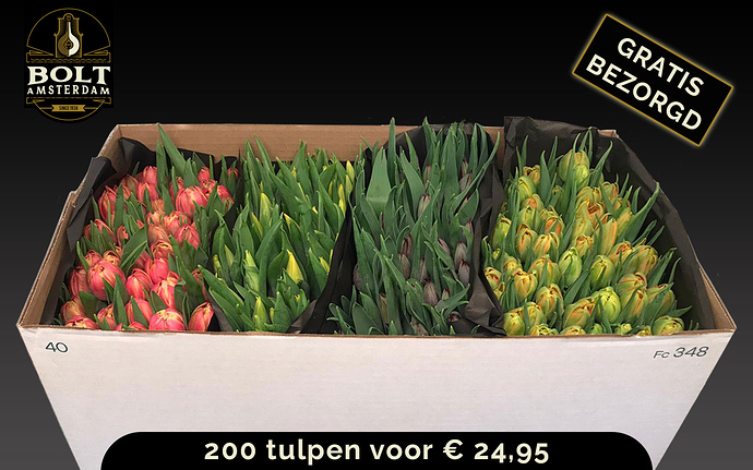 200-tulpen-kopen2