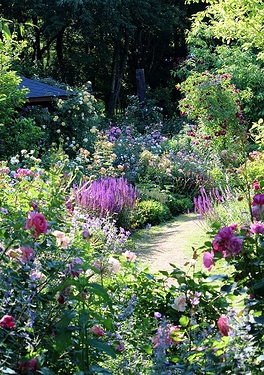 tuin