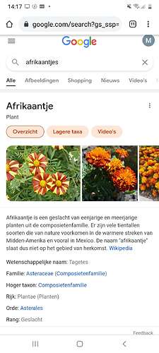 Screenshot_20210302-141713_Chrome