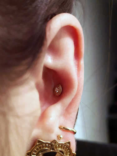 conch