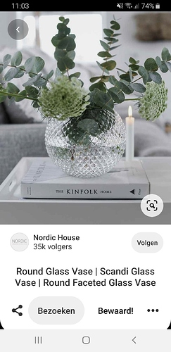 Screenshot_20200708-110350_Pinterest