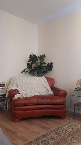 IMG-20191118-WA0003