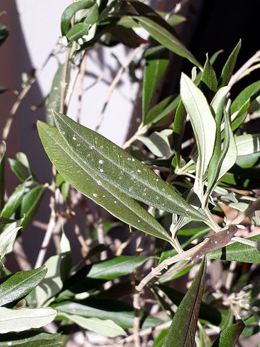 20190915_131508