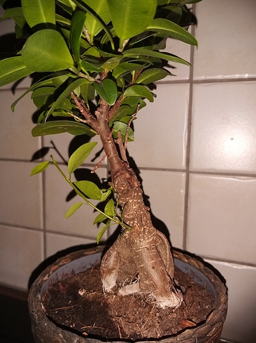 20191006_000200