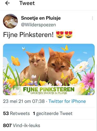 Screenshot_20211113_232759