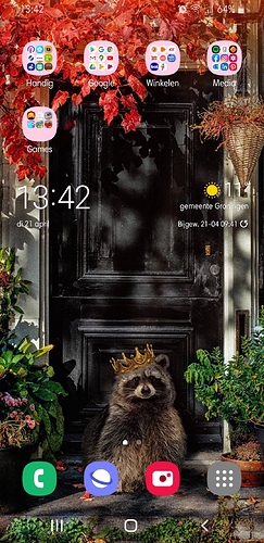 Screenshot_20200421-134251_One UI Home