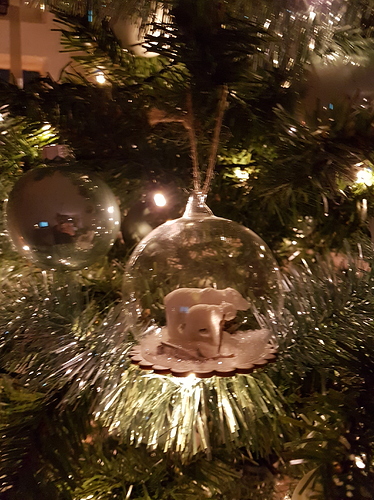 20181203_170953
