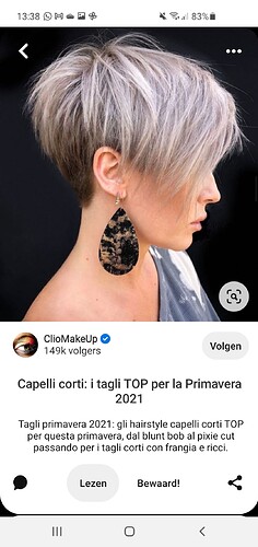 Screenshot_20211127-133817_Pinterest