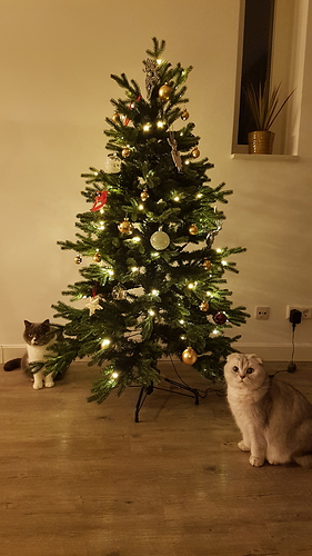 20181205_194458