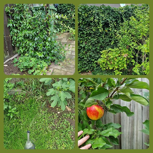 InCollage_20230913_164045748