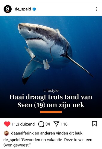 Screenshot_20241103_205229_Instagram