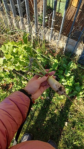 IMG-20260302-WA0010