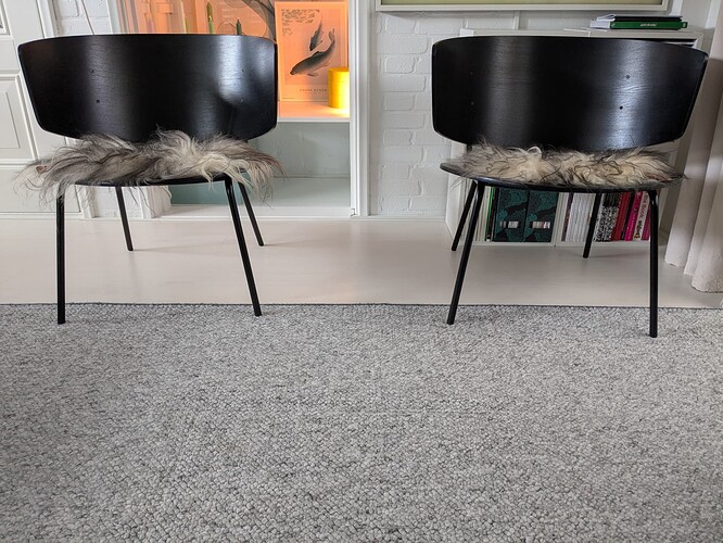 PXL_20250225_133018972