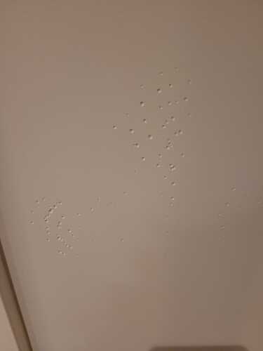 IMG-20231224-WA0010