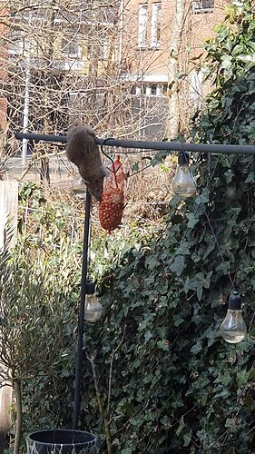 VideoCapture_20240110-172248