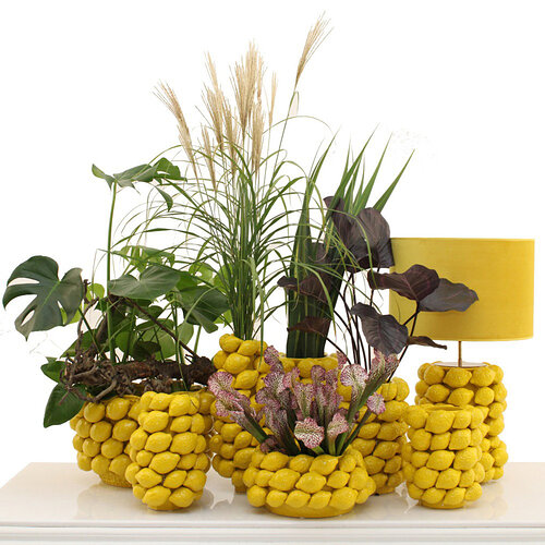 vazen-atelier-citroen-vaas-all-lemons