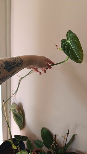 IMG_20230910_103712