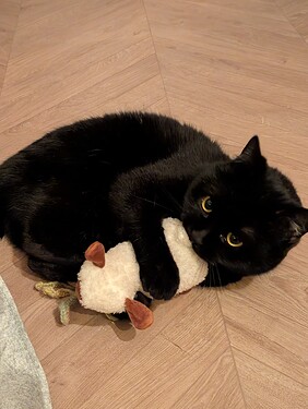 PXL_20260103_183511153.MP