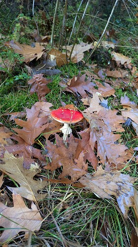 PXL_20251022_101914802