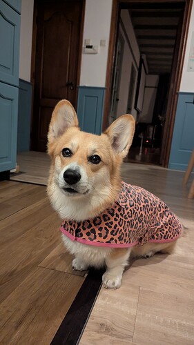 PXL_20251021_180707930