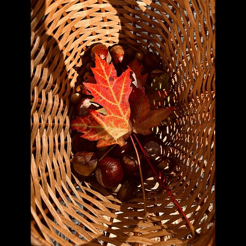 Whitagram-Image