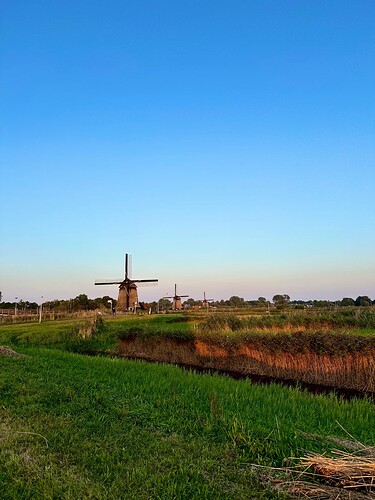 IMG_2907