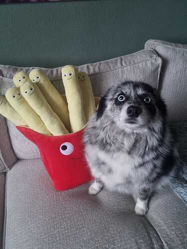 IMG-20250211-WA0005