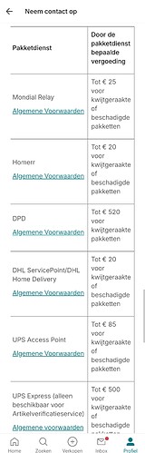 Screenshot_20241116_133500_Vinted